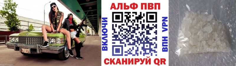 закладки  Холм  Alfa_PVP СК КРИС 