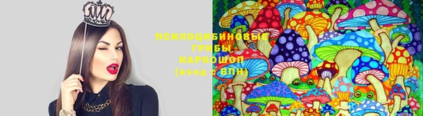 MDMA Premium VHQ Горно-Алтайск