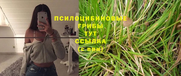герыч Горнозаводск