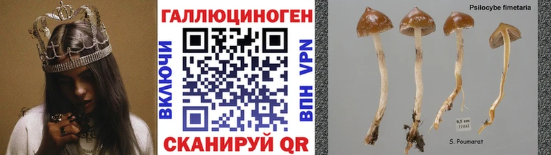Псилоцибиновые грибы ЛСД  сайты даркнета как зайти  Холм 